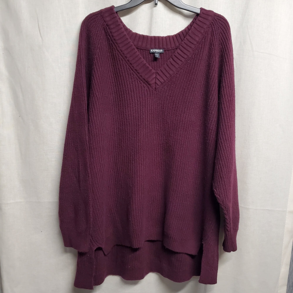 Express Women's Burgundy Sweater